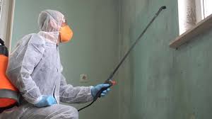 Best Emergency Mold Remediation  in USA